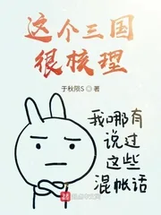 《这个三国很核理》小说封面