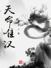 《天命唯汉》小说封面