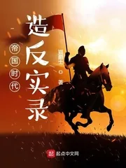 《帝国时代造反实录》小说封面