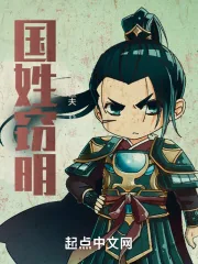 《国姓窃明》小说封面