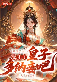 《敌国公主：受不了，皇子多纳妾吧！》小说封面