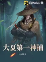 《大夏第一神捕》小说封面