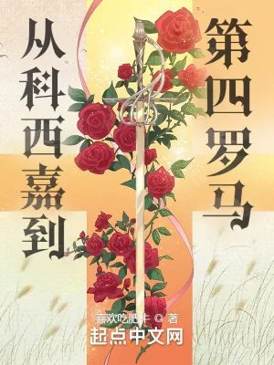 《从科西嘉到第四罗马》小说封面