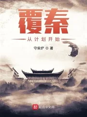 《覆秦从计划开始》小说封面