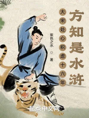 《大宋处心积虑十六年,方知是水浒》小说封面