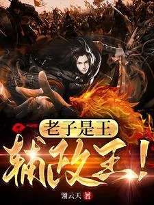 《老子是王，辅政王！》小说封面