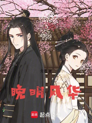 《晚明风华》小说封面