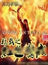 《抗战之红色警戒》小说封面