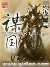 《谋国》小说封面