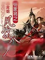 《杨家将之风流八少》小说封面