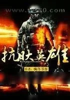 《抗日大英雄》小说封面