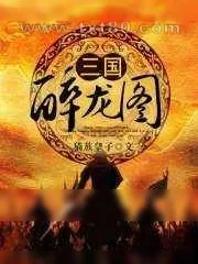 《三国醉龙图》小说封面