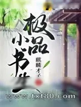 《极品小书生》小说封面