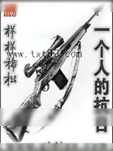 《一个人的抗日》小说封面