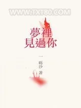 《待到将军入梦时》小说封面