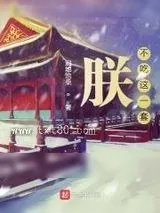 《朕不吃这一套》小说封面