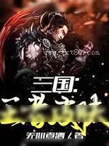 《三国:王者皮肤》小说封面