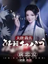《大唐：我真没想和公主谈恋爱》小说封面