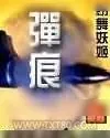 《弹痕》小说封面