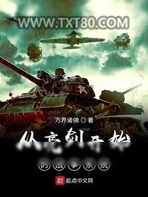 《亮剑》小说封面