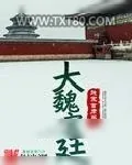 《大魏宫廷》小说封面
