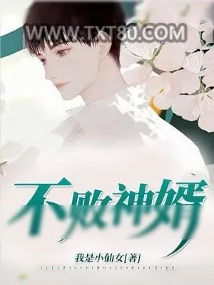 《不败神婿》小说封面