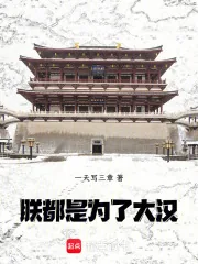 《朕,都是为了大汉!》小说封面