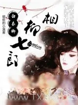 《白衣卿相柳七郎》小说封面