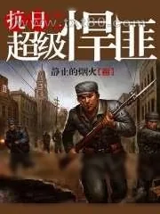 《抗日之超级悍匪》小说封面