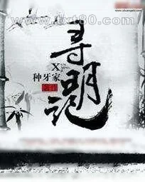 《寻明记》小说封面