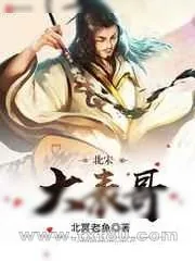 《北宋天书野录》小说封面