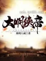 《大明侠帝》小说封面