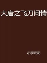 《大唐双龙传》小说封面