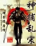 《神捕乱宋》小说封面