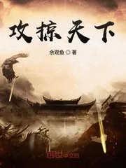 《攻掠天下》小说封面