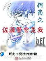 《柯南之佐藤警官是我姐》小说封面