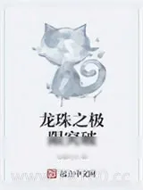 《龙珠》小说封面
