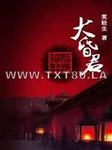 《大昏君》小说封面