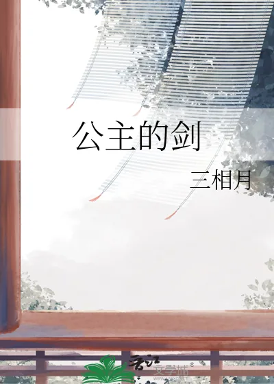 《公主的剑》小说封面