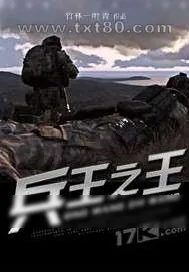 《兵王之王》小说封面