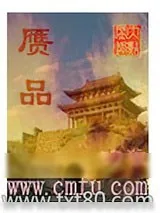 《赝品》小说封面