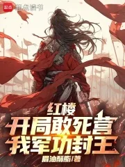 《红楼:开局敢死营,我军功封王》小说封面