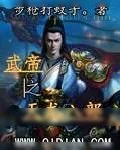 《武帝之天龙八部》小说封面