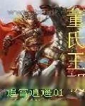 《董氏王朝》小说封面