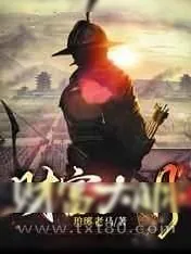 《财富大明》小说封面
