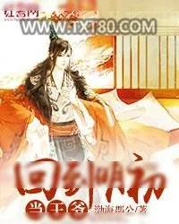 《回到明初当王爷》小说封面