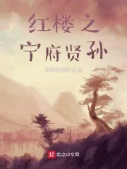《红楼之宁府贤孙》小说封面