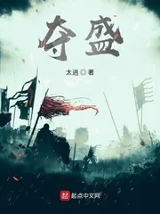 《夺盛》小说封面