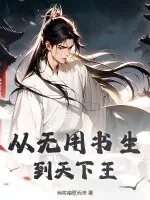 《从无用书生到天下王》小说封面