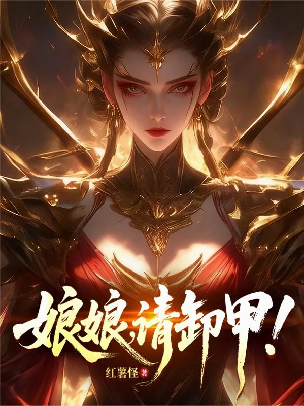 《娘娘，请卸甲！》小说封面